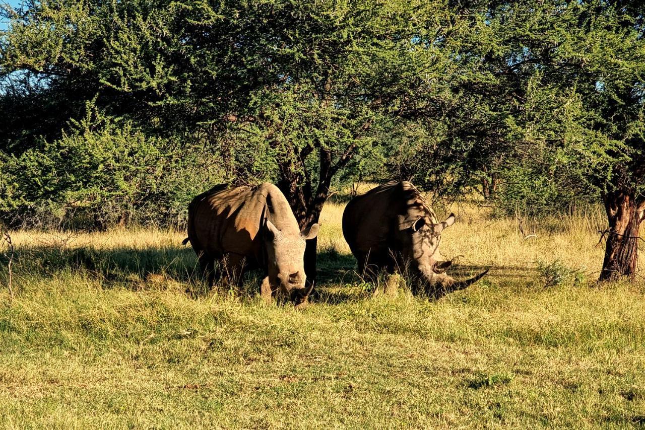 Phumelo Lodge Bela-Bela Eksteriør billede