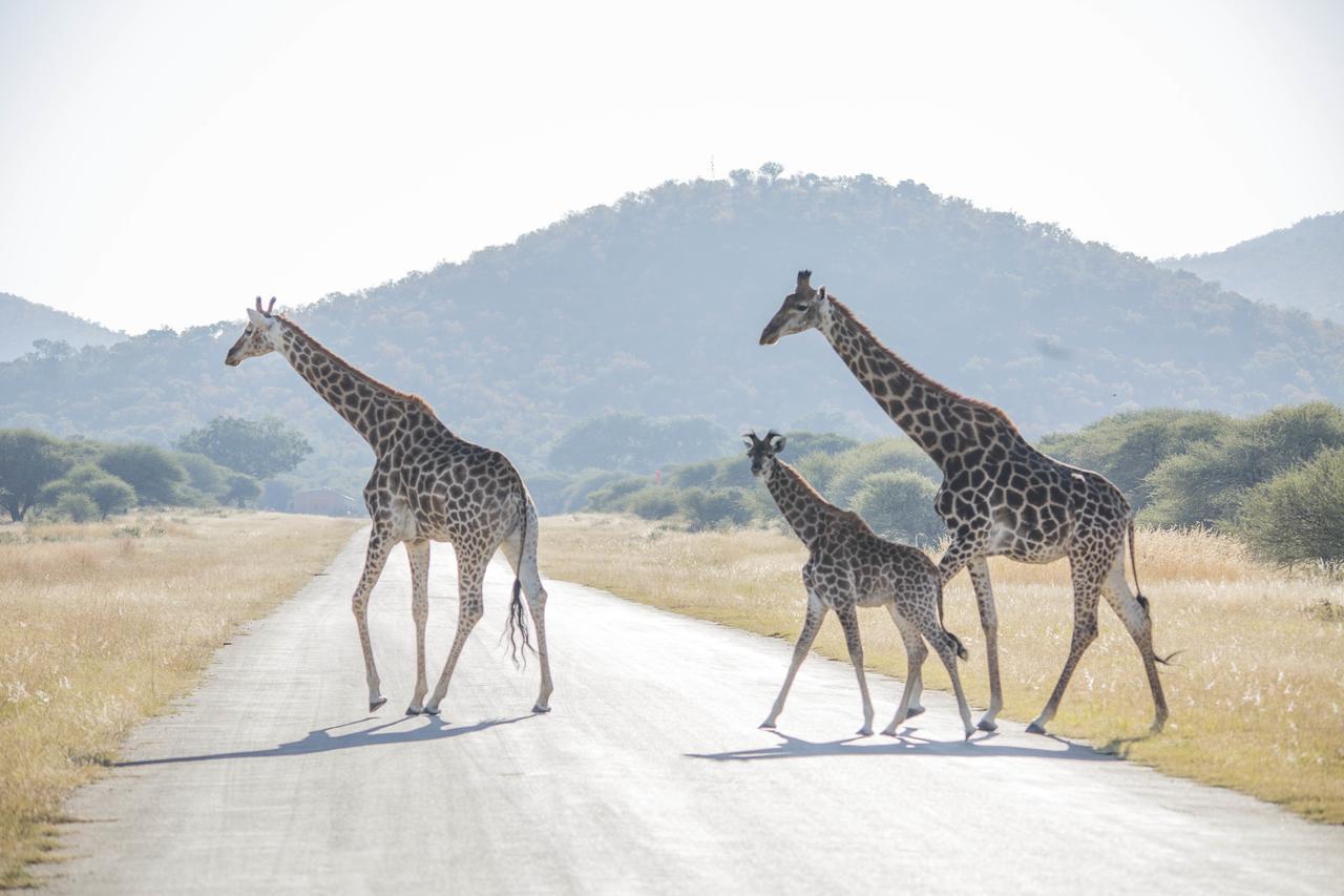 Phumelo Lodge Bela-Bela Eksteriør billede