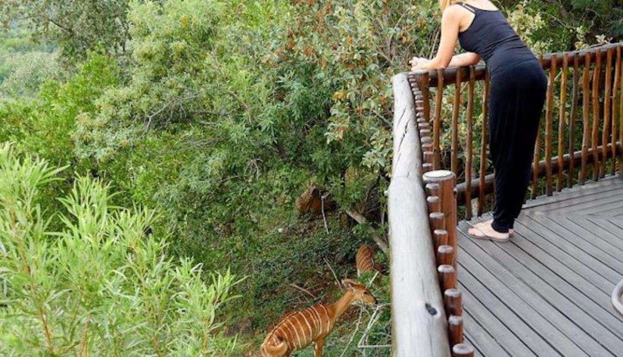 Phumelo Lodge Bela-Bela Eksteriør billede